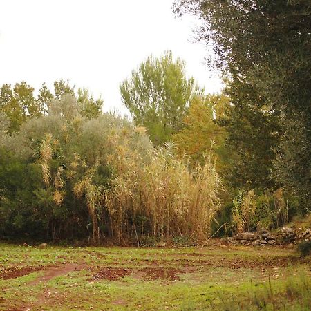 Il Giardino Di Viola Bed and Breakfast Ceglie Messapica Buitenkant foto