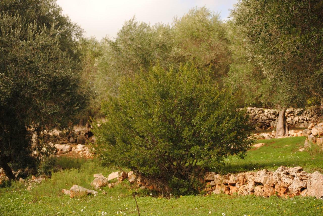 Il Giardino Di Viola Bed and Breakfast Ceglie Messapica Buitenkant foto