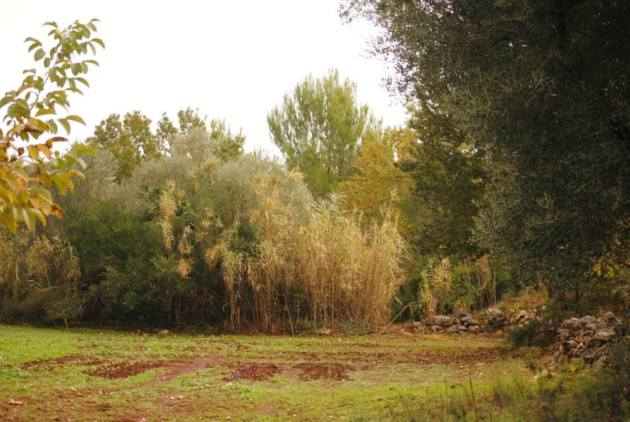 Il Giardino Di Viola Bed and Breakfast Ceglie Messapica Buitenkant foto