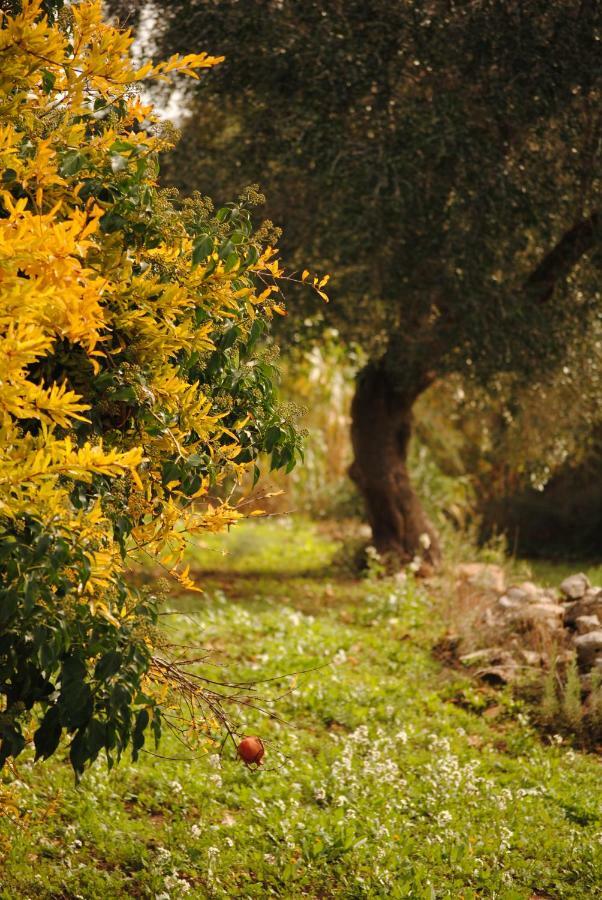 Il Giardino Di Viola Bed and Breakfast Ceglie Messapica Buitenkant foto