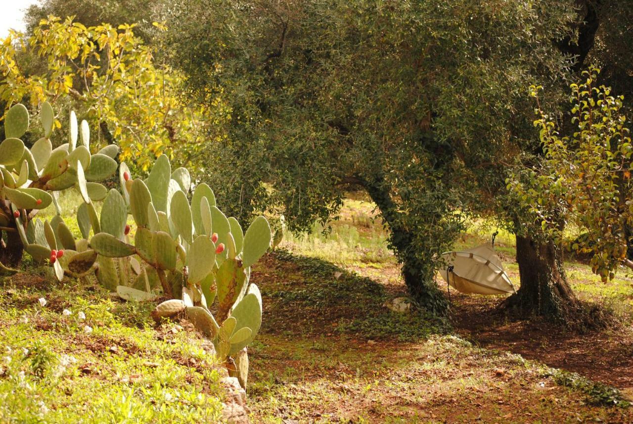Il Giardino Di Viola Bed and Breakfast Ceglie Messapica Buitenkant foto