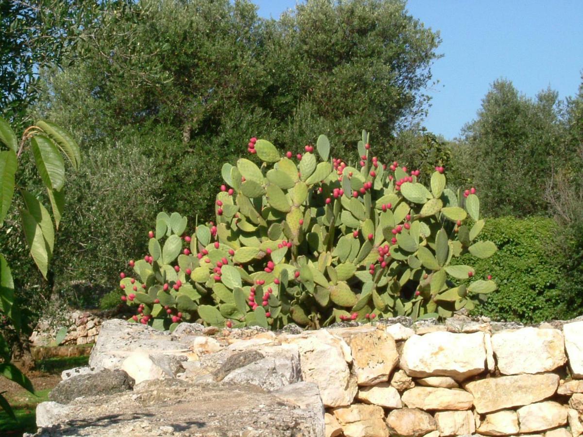Il Giardino Di Viola Bed and Breakfast Ceglie Messapica Buitenkant foto
