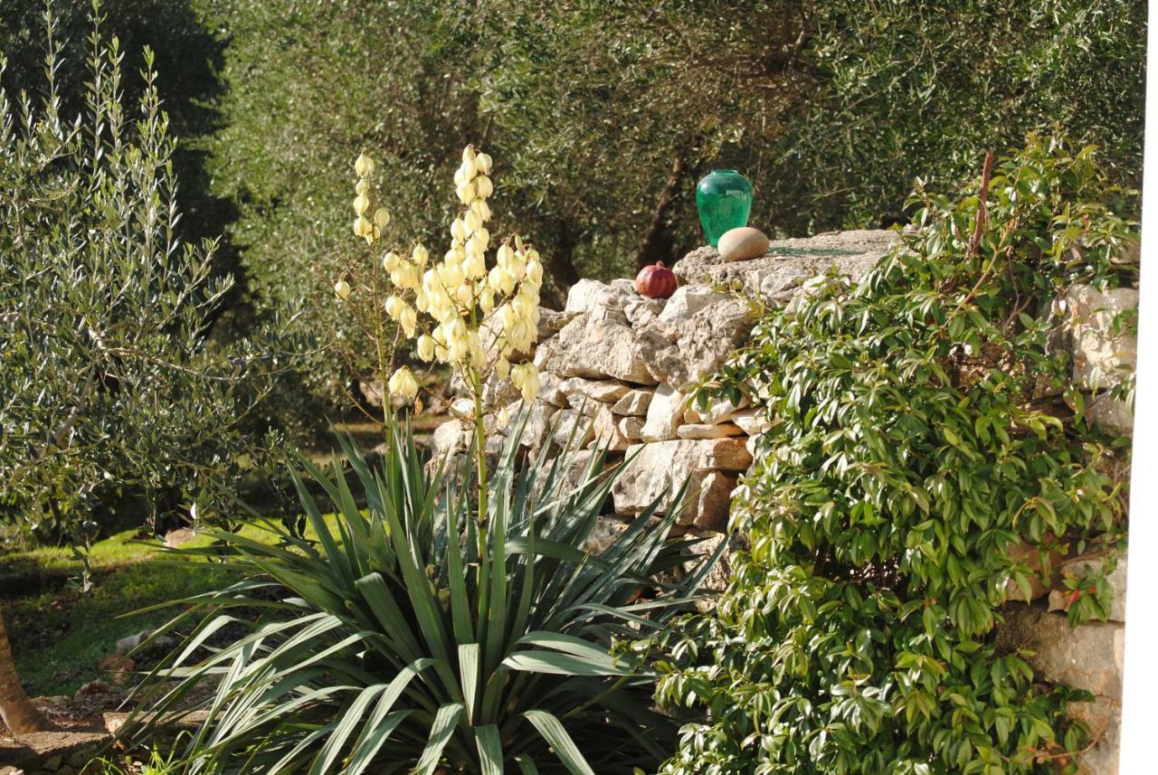 Il Giardino Di Viola Bed and Breakfast Ceglie Messapica Buitenkant foto
