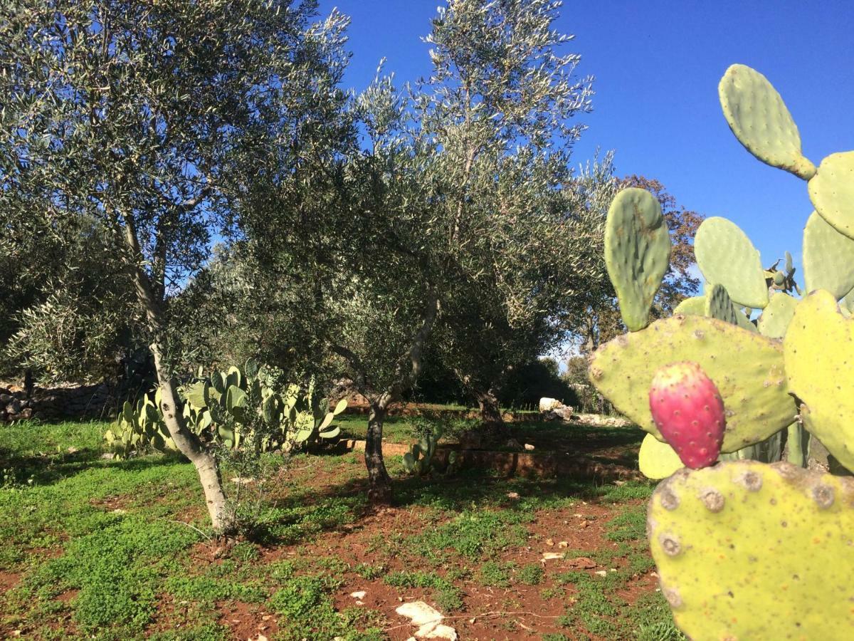 Il Giardino Di Viola Bed and Breakfast Ceglie Messapica Buitenkant foto